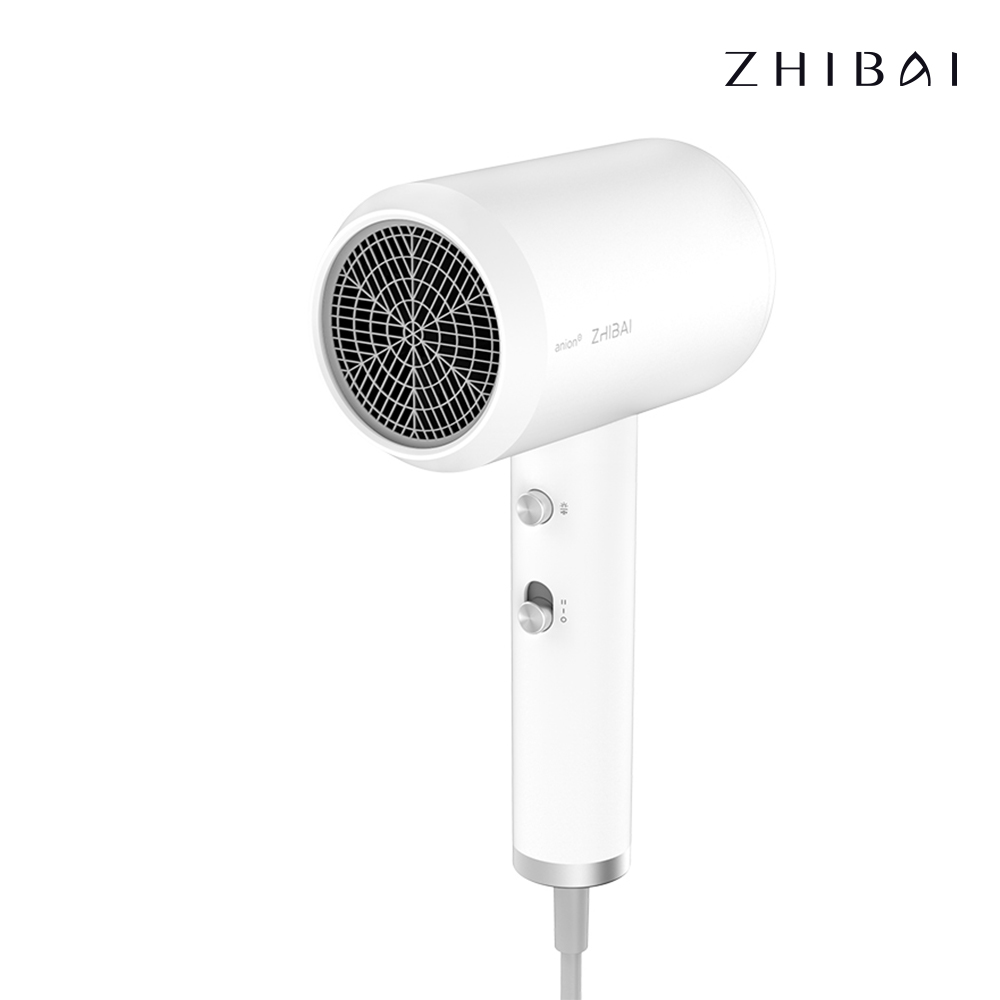 ZHIBAI HL312 マイナスイオンヘアドライヤー